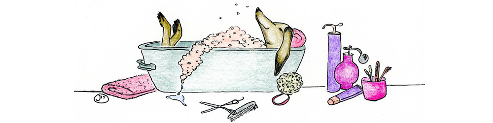 Gary's Professional Dog Grooming - illustration of dog being pampered in a bathtub